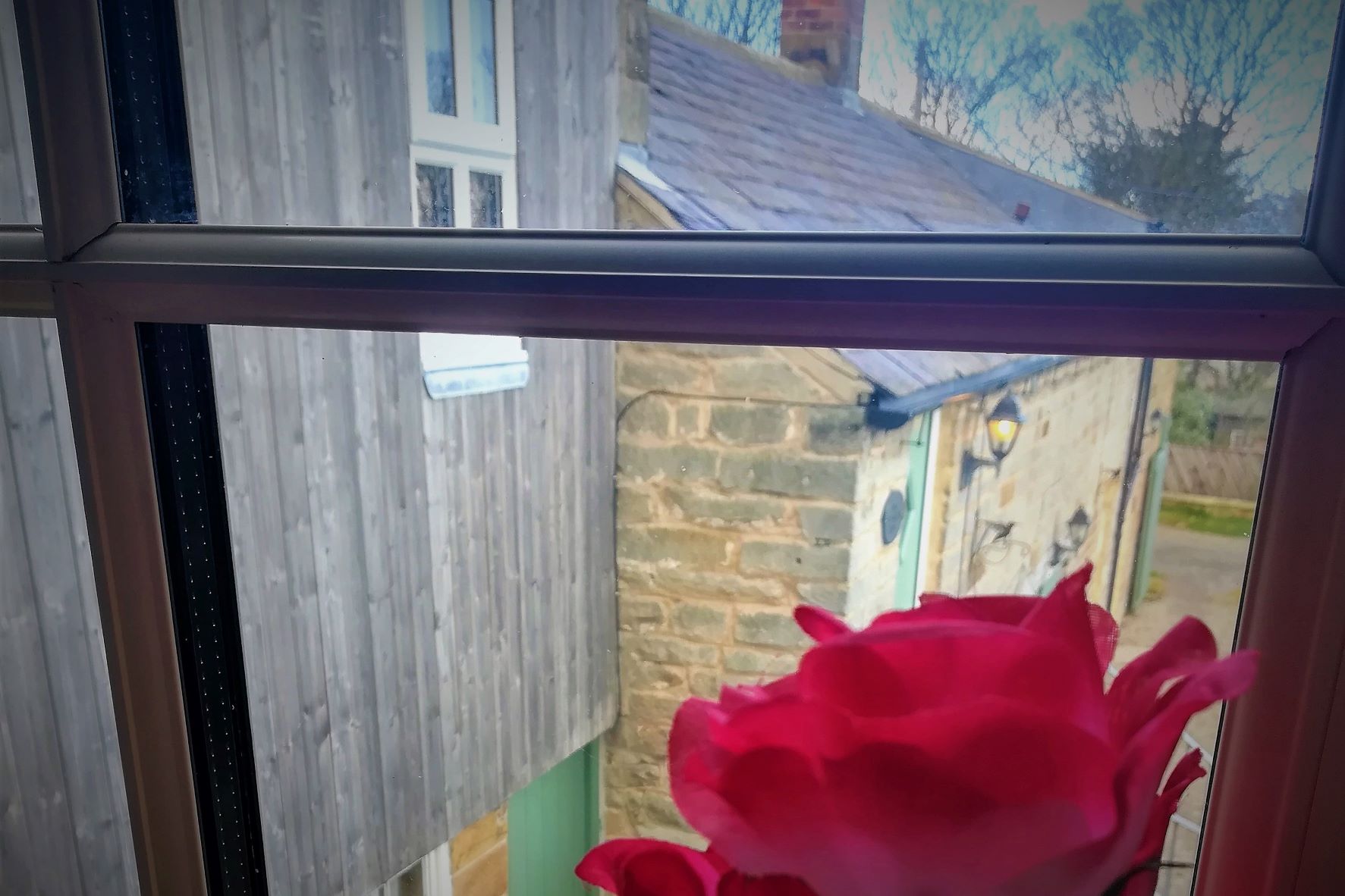 window rose veiw